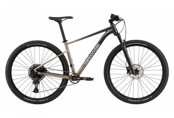 HALBSTARRES-MOUNTAINBIKE-CANNONDALE-TRAIL-SL-1-SRAM-NXSX-EAGLE-12V-29-GRAU-METEOR-BEIGE.jpg