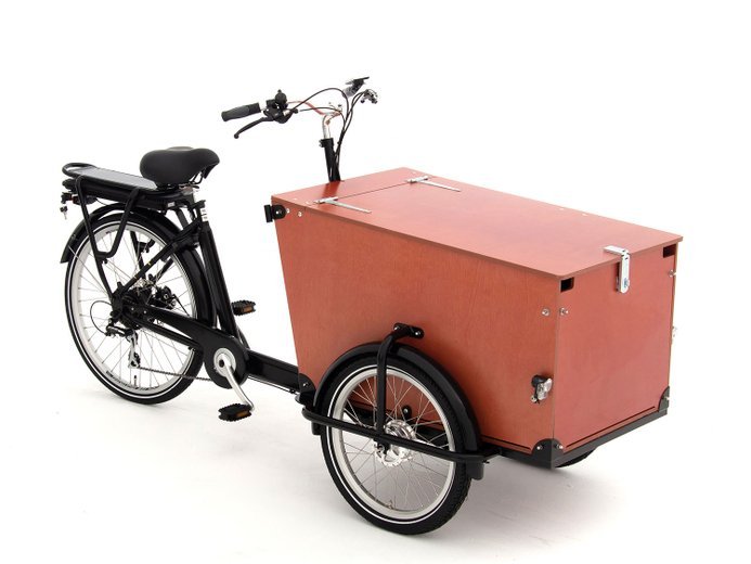 babboe-pro-trike-e-265l-rb-hd-braun-82198-01.jpg